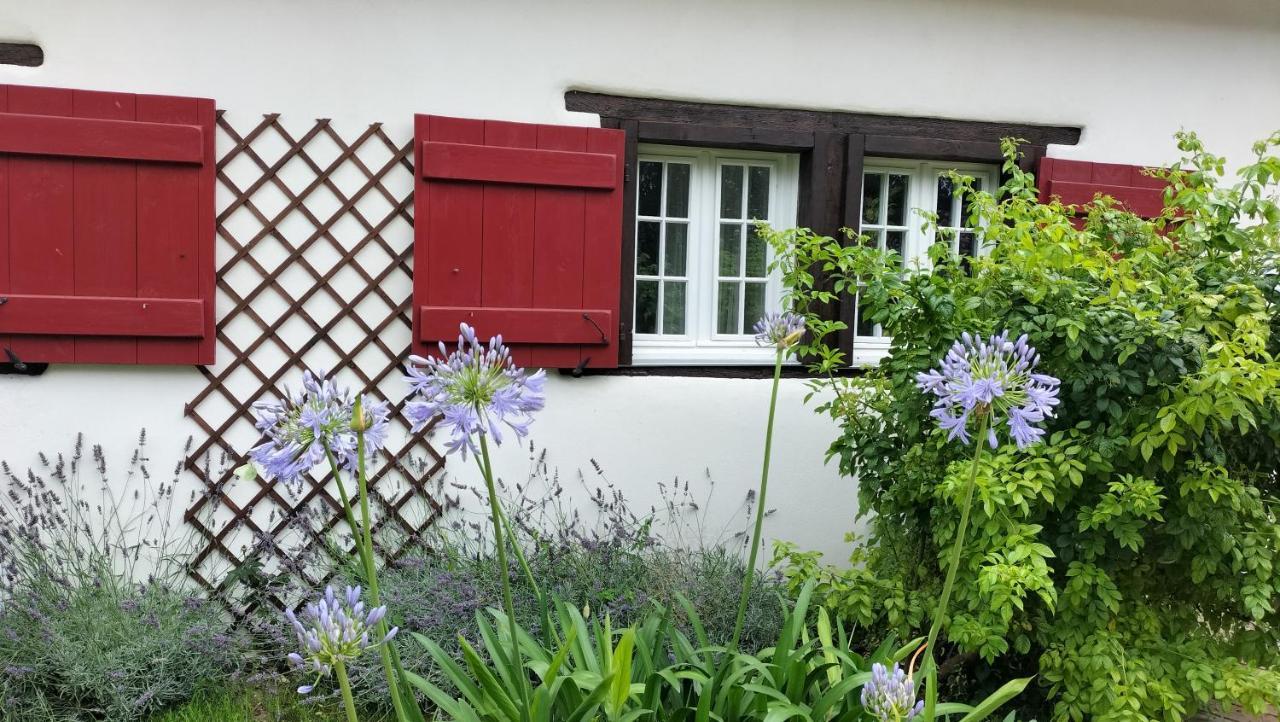Le Moulin De Saubrigues Bed and Breakfast Buitenkant foto